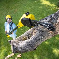 Best Lawn Grading and Leveling  in Jenks, OK