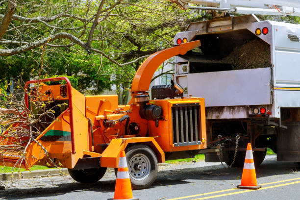 Best Storm Damage Tree Cleanup  in Jenks, OK